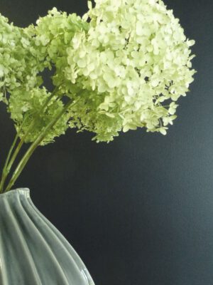 Bader Blumen