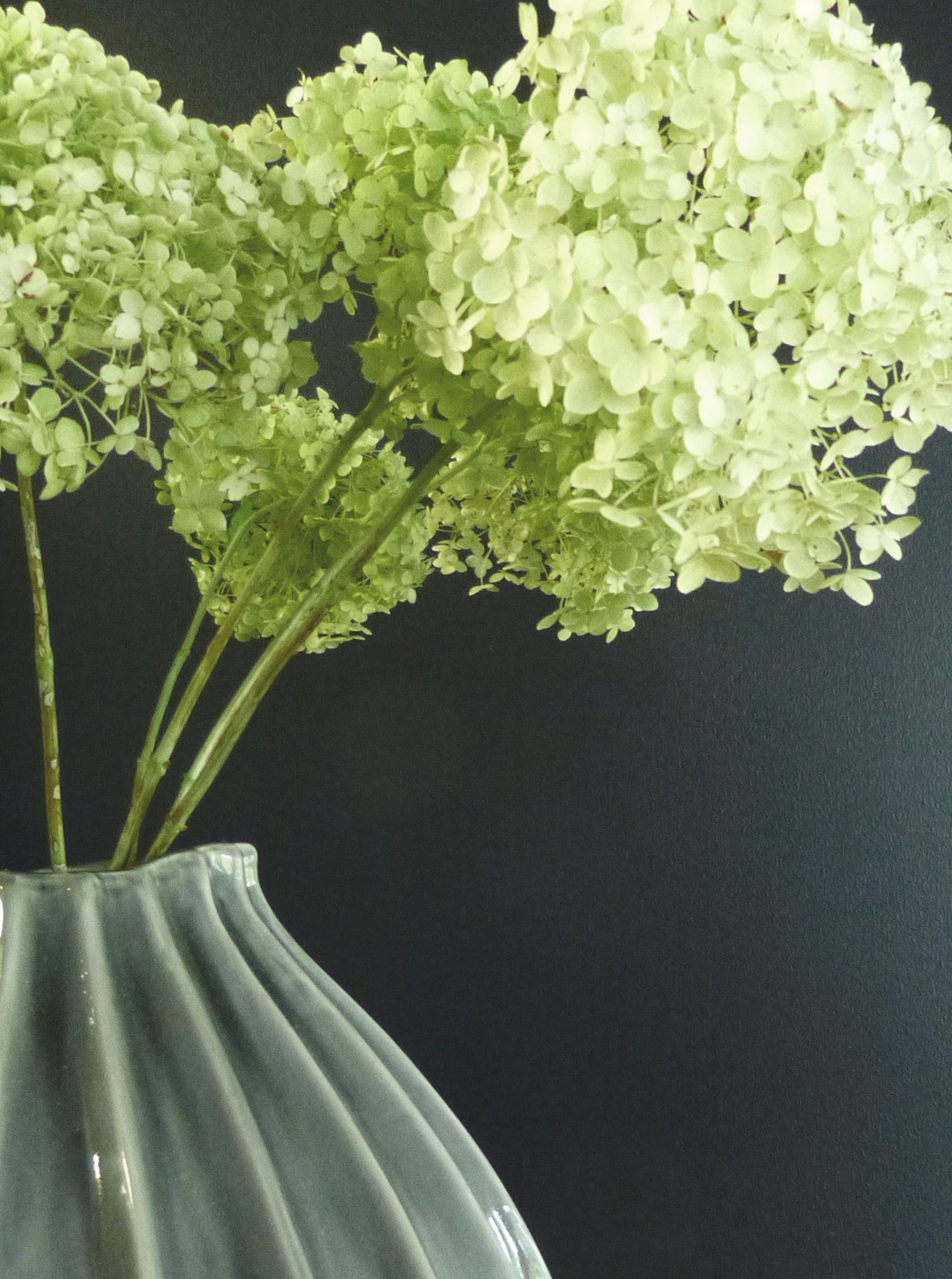 Bader Hotel Blumen
