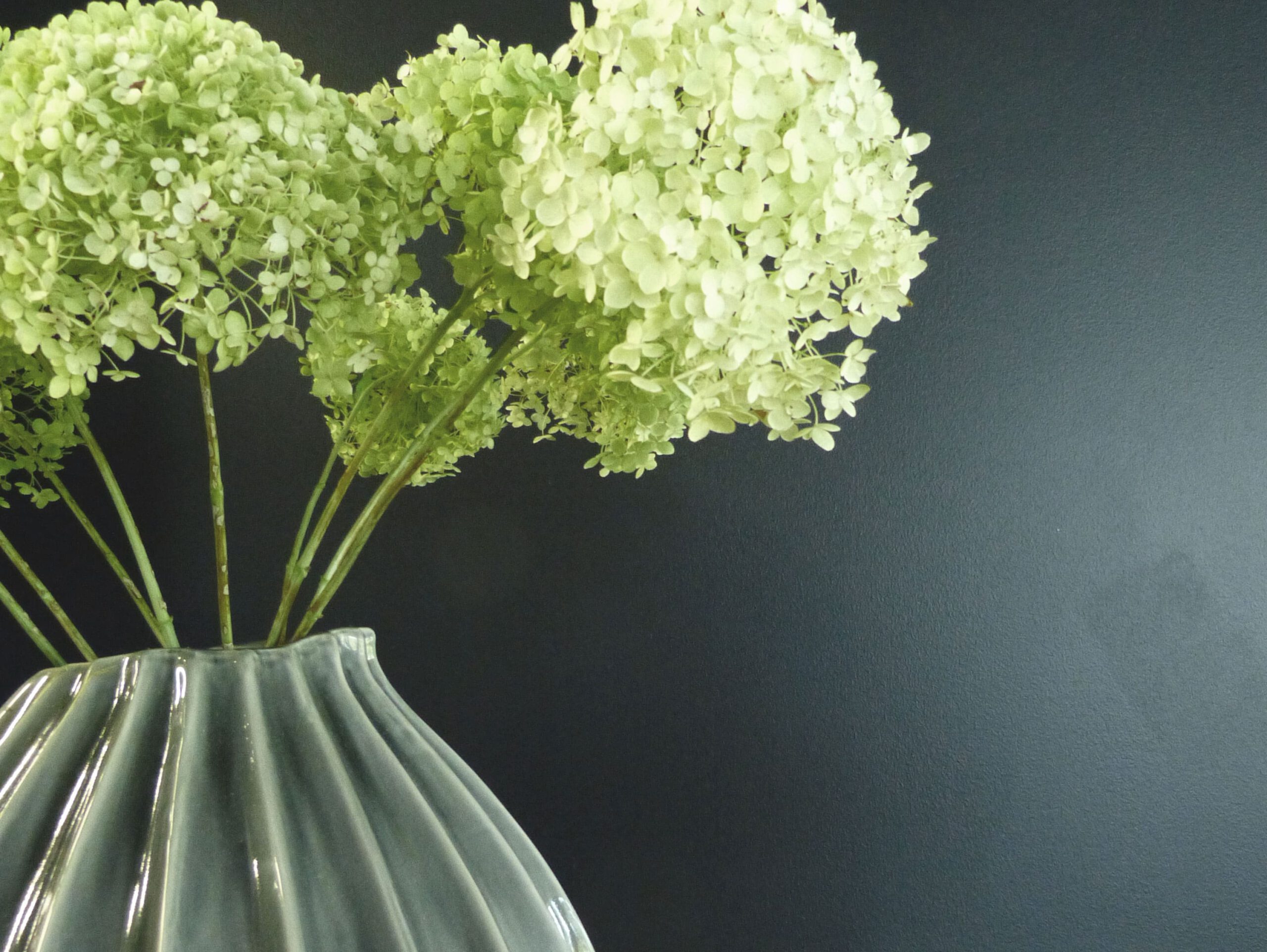 Bader Blumen