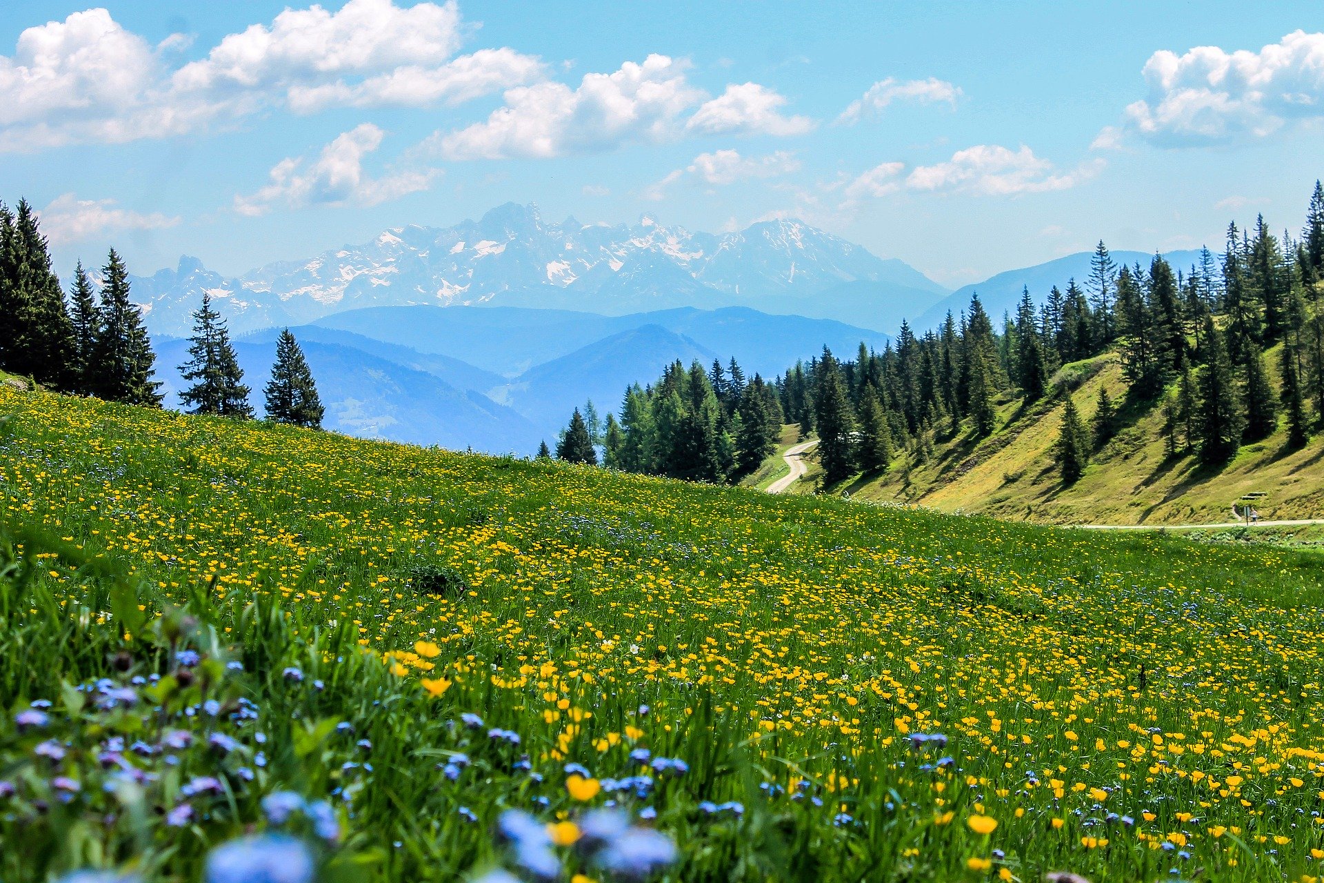 Bayerisches Alpenvorland